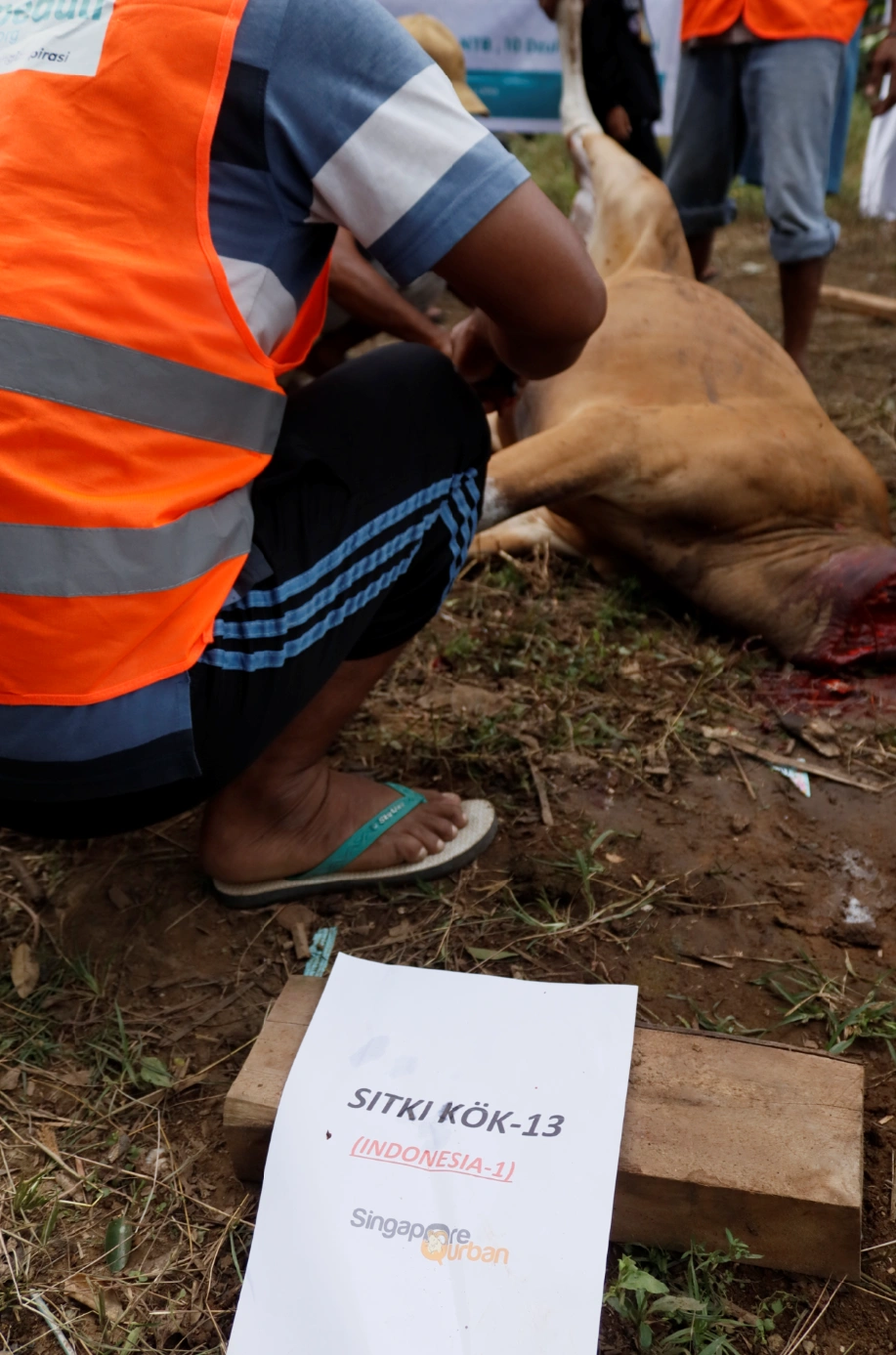 Foto 2 dari album Kurban Pelosok Bima 2025