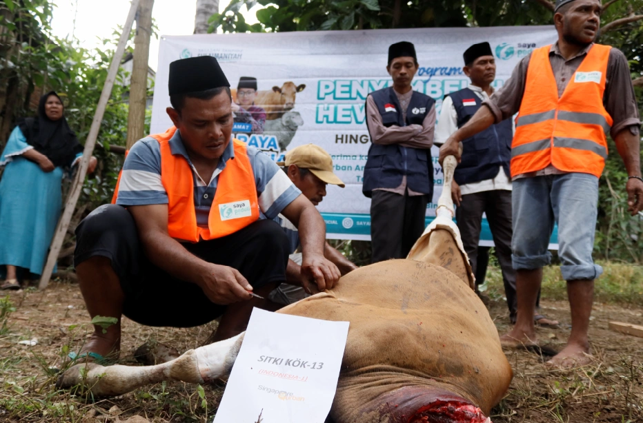 Foto 3 dari album Kurban Pelosok Bima 2025