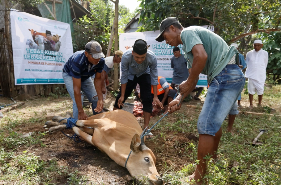 Foto 5 dari album Kurban Pelosok Bima 2025