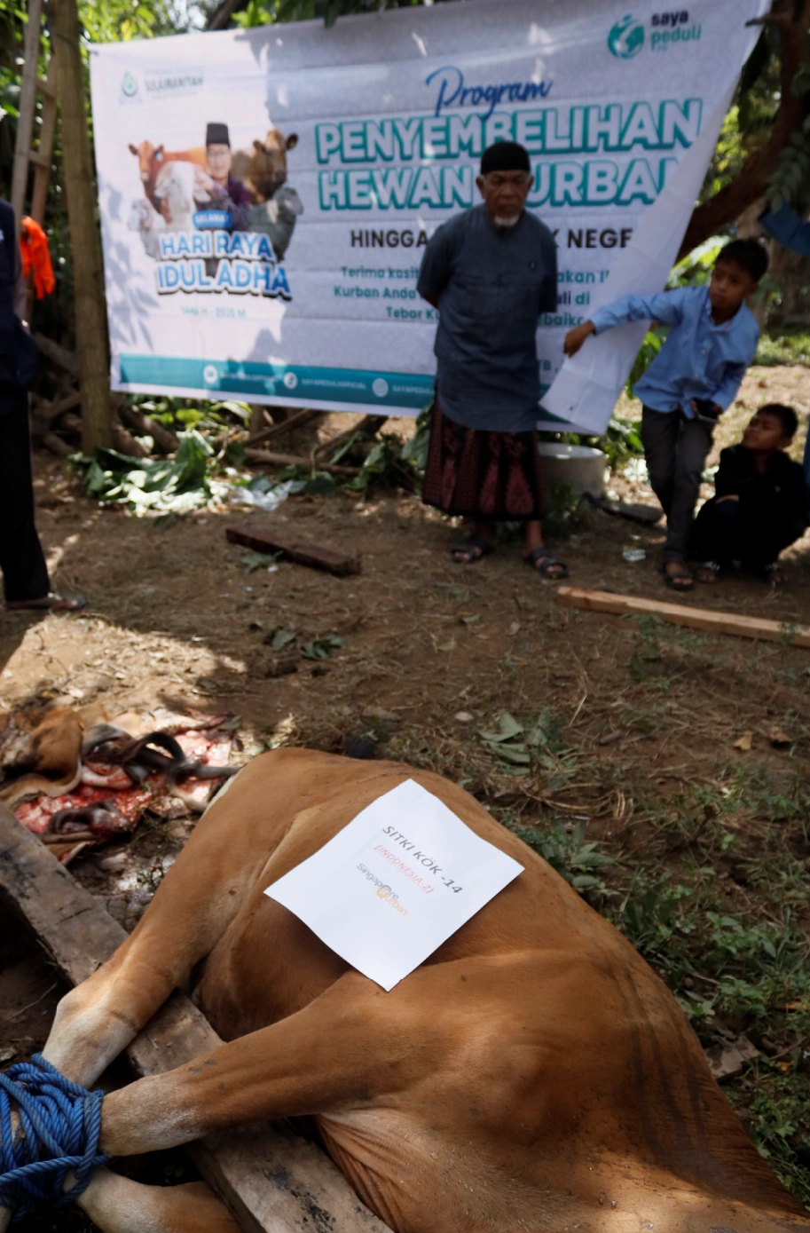 Foto 6 dari album Kurban Pelosok Bima 2025