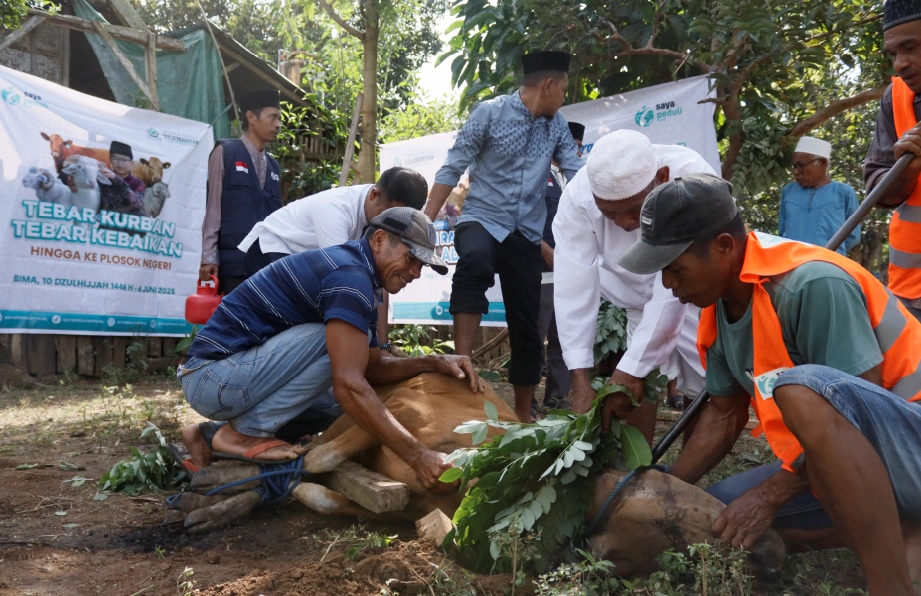 Foto 9 dari album Kurban Pelosok Bima 2025