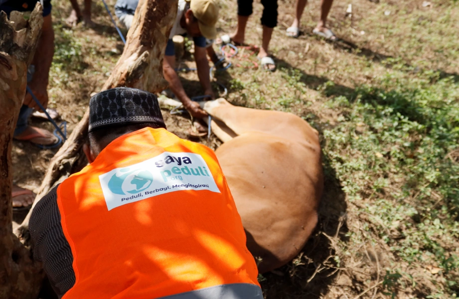 Foto 10 dari album Kurban Pelosok Bima 2025
