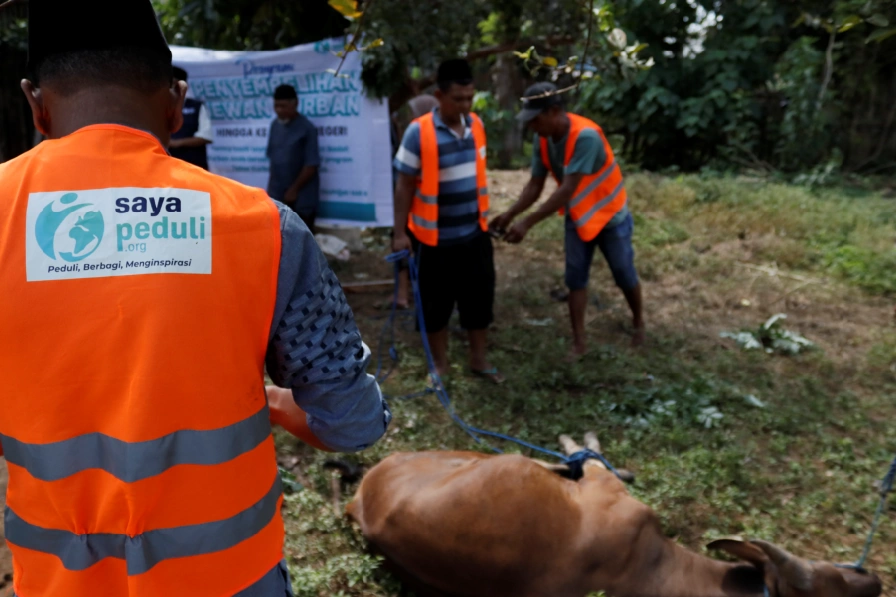 Foto 24 dari album Kurban Pelosok Bima 2025