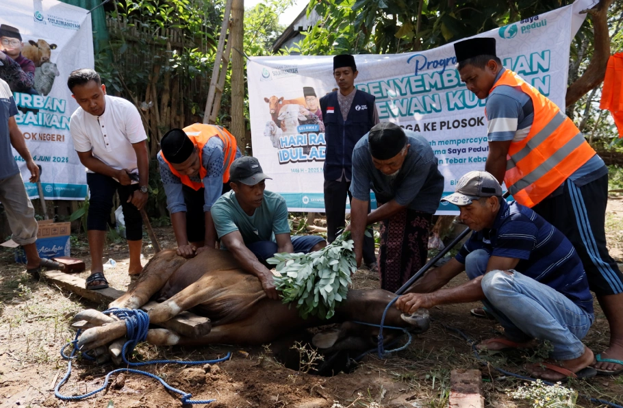 Foto 27 dari album Kurban Pelosok Bima 2025