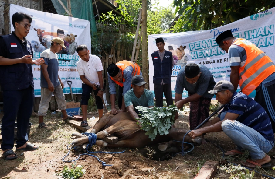 Foto 28 dari album Kurban Pelosok Bima 2025