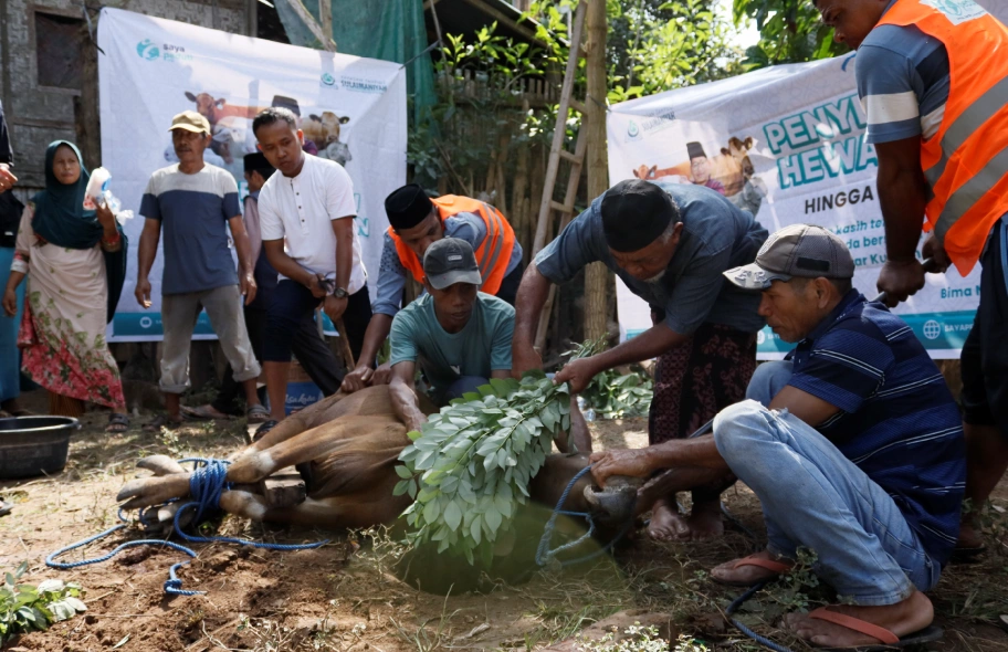 Foto 29 dari album Kurban Pelosok Bima 2025