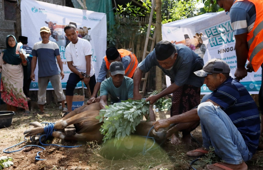 Foto 30 dari album Kurban Pelosok Bima 2025