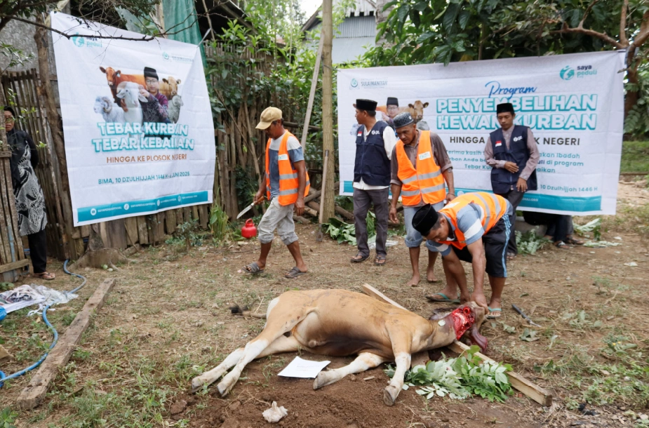 Foto 41 dari album Kurban Pelosok Bima 2025
