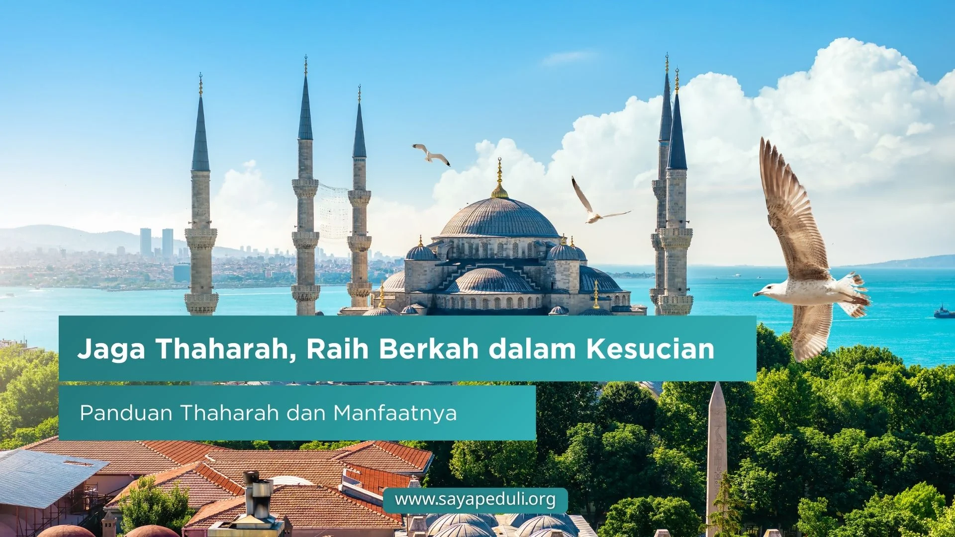 PENTINGNYA THAHARAH DALAM ISLAM: PENGERTIAN DAN DAMPAKNYA
